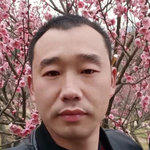 羽毛与英勇的照片