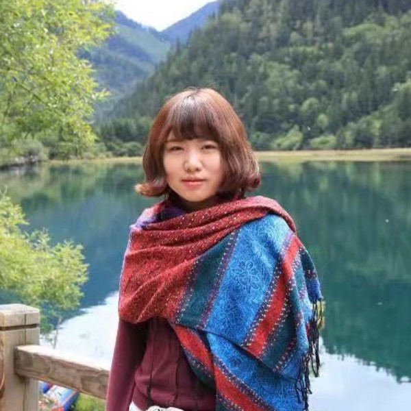 企鹅丹的的照片