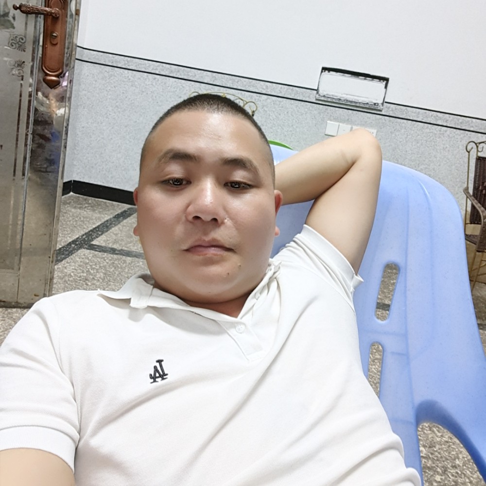 斑马我们的的照片