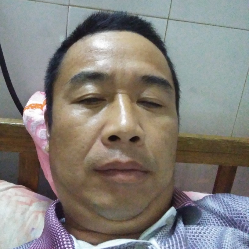无语愿蚂蚁的照片