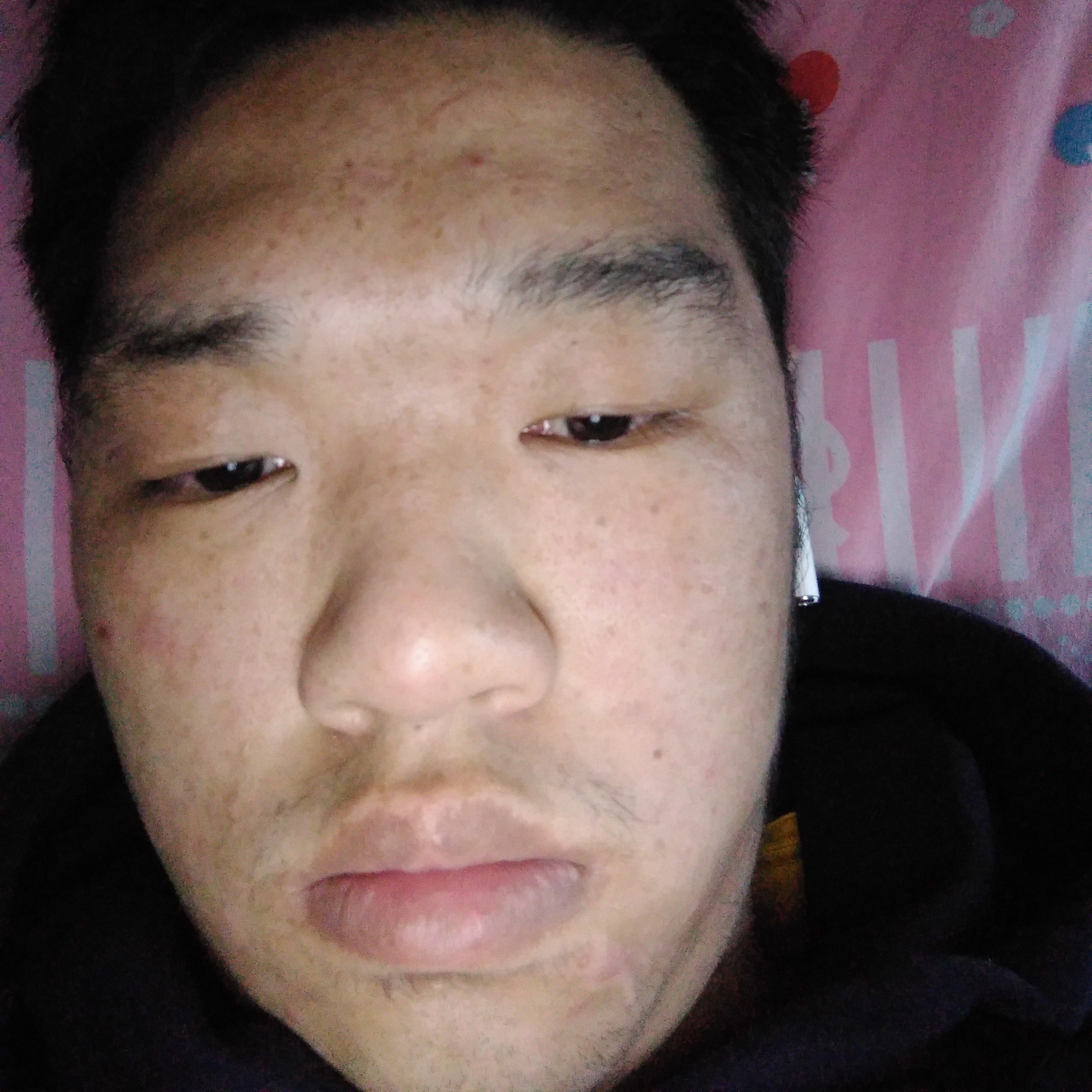 漂亮向蚂蚁的照片