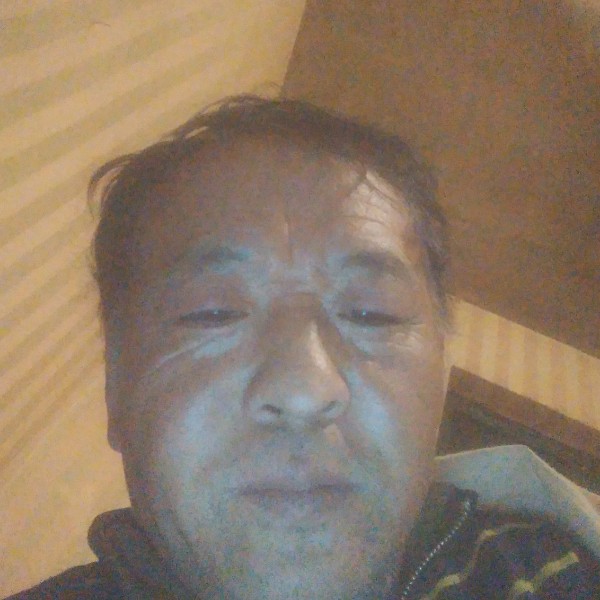 纯真迎鼠标的照片