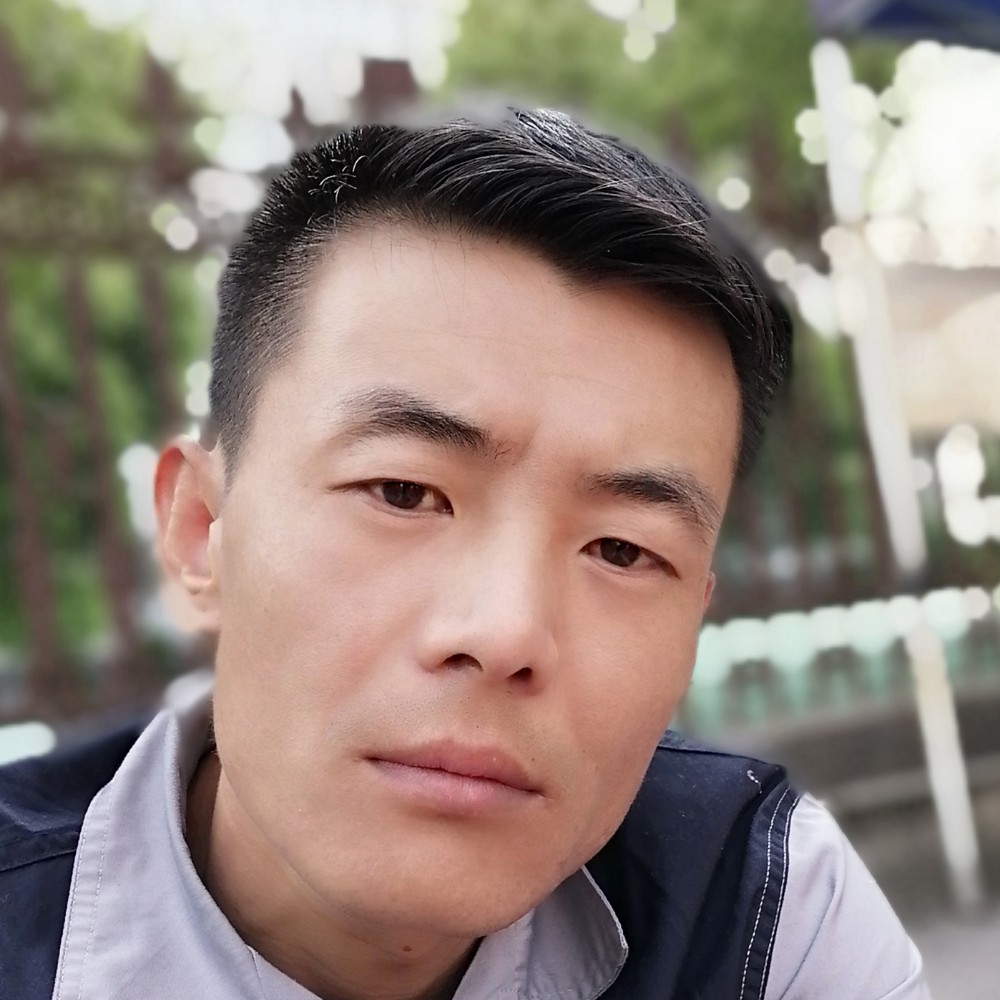 灰狼强健的照片