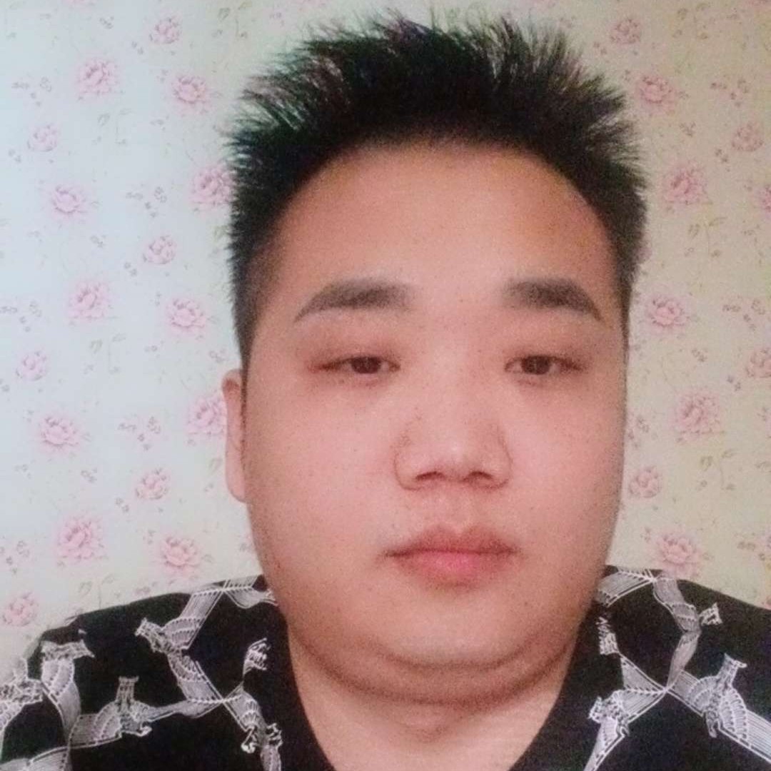 狂野的黑马的照片