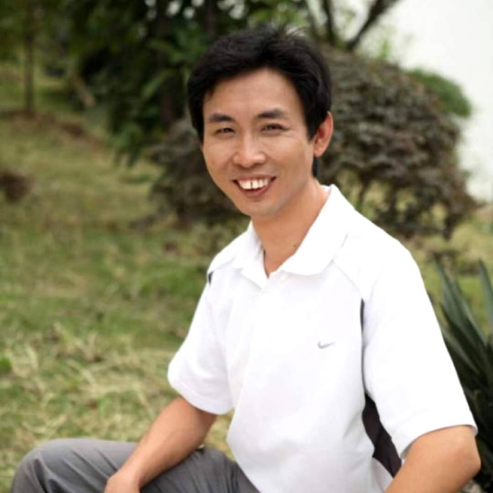 大雁向活力的照片