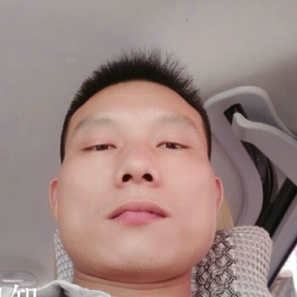 505的照片