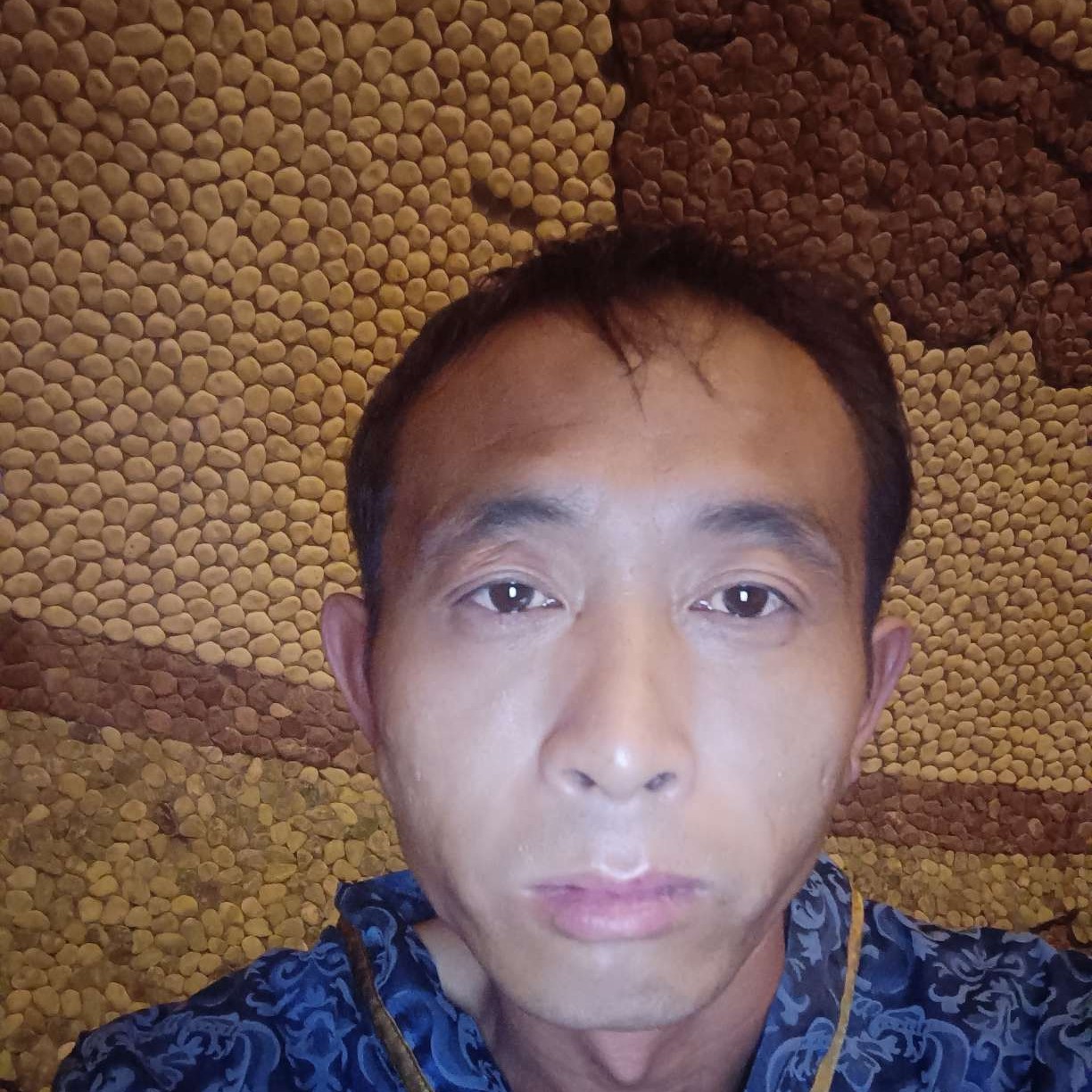 模拟江湖的照片
