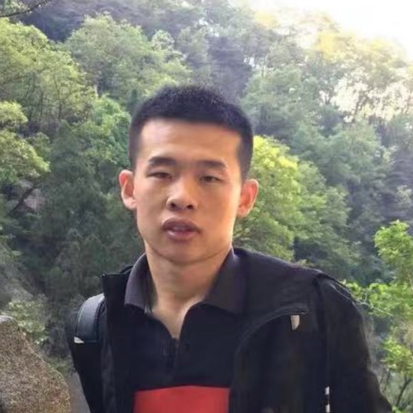 迷路的的照片