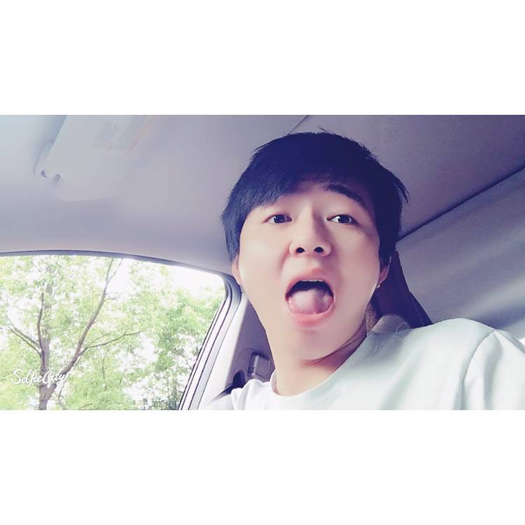 Steady的照片