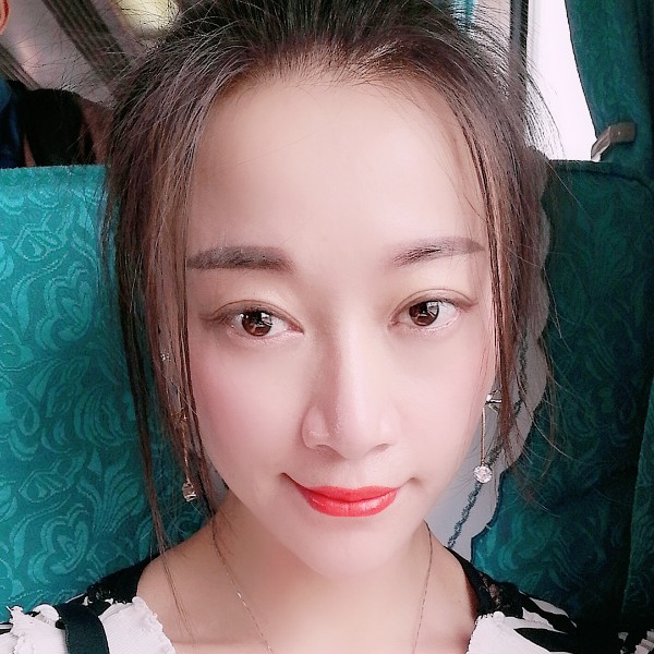 可靠的小刺猬的照片