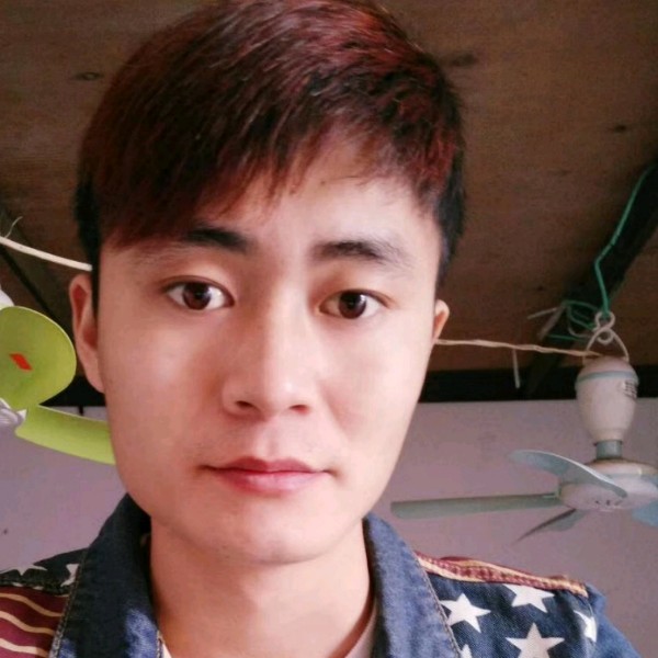 感性邂逅大象的照片