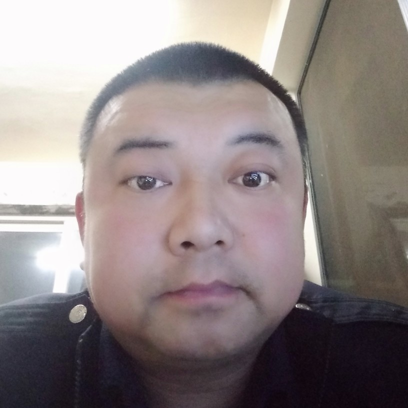 飞来飞去。的照片
