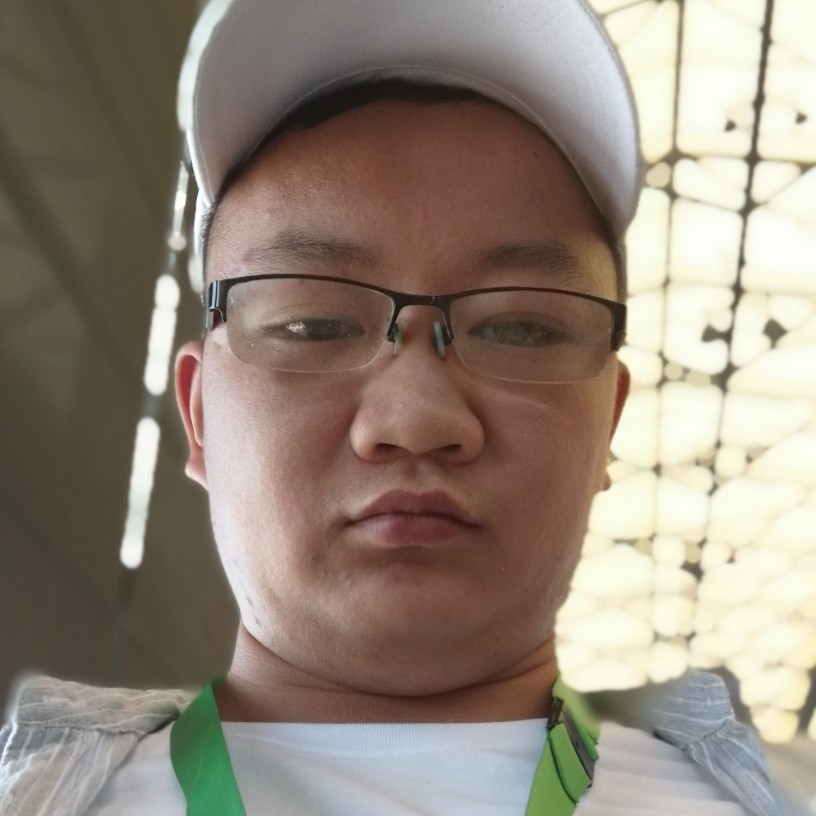 友好大象的照片
