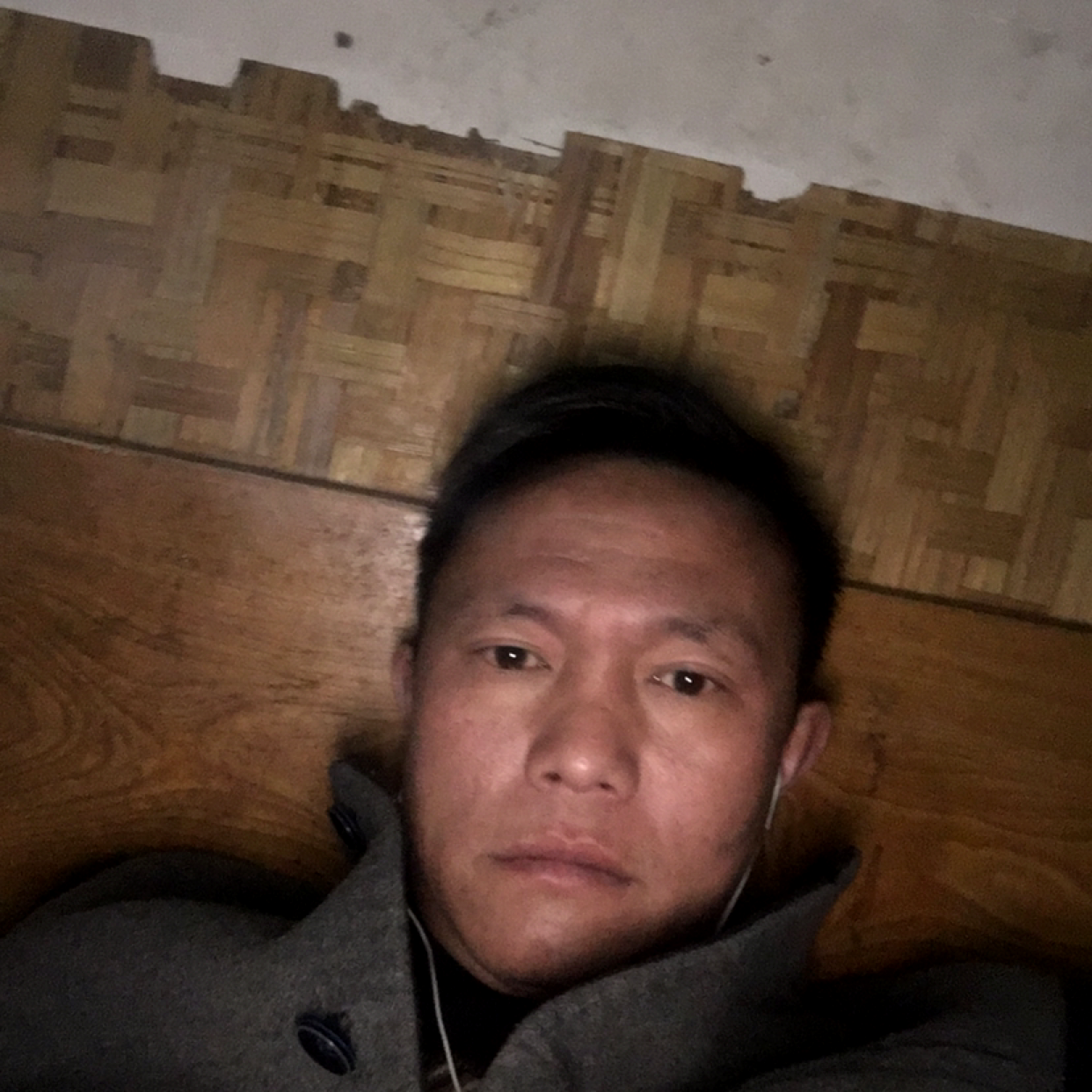请来的照片