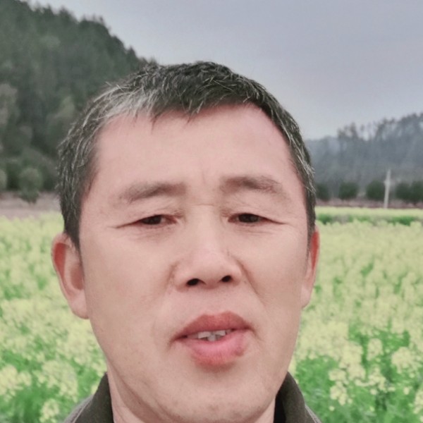 我真心来找过老婆的照片