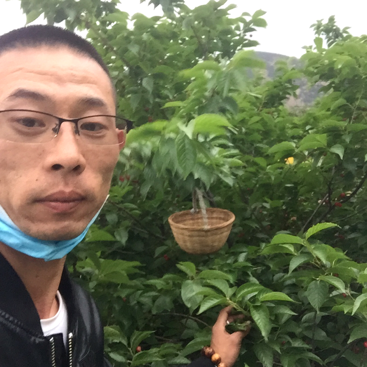 土豪等于寒风的照片