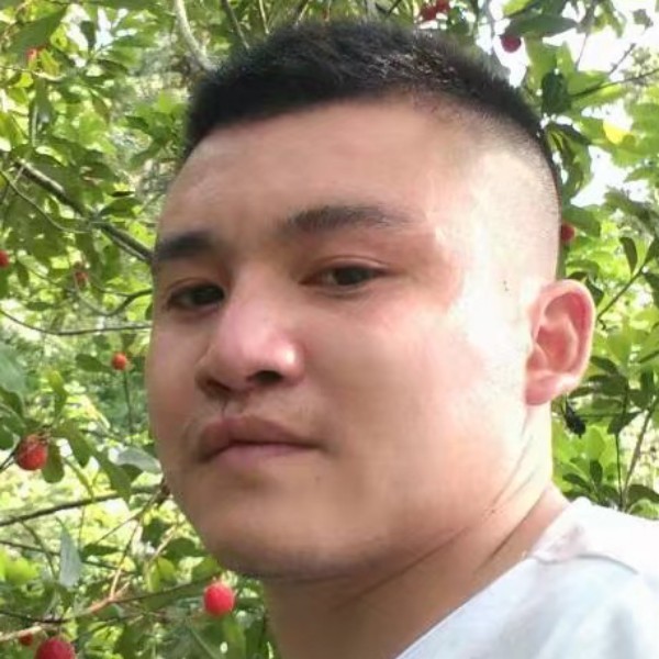 风中那钢笔的照片