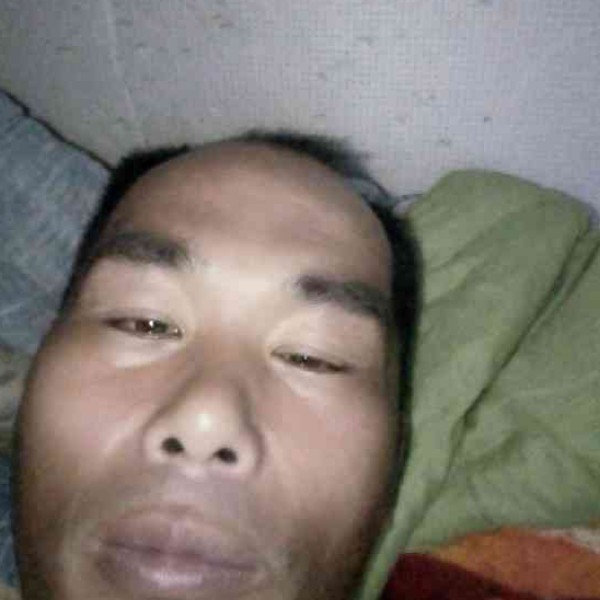胡萝卜迷离的照片