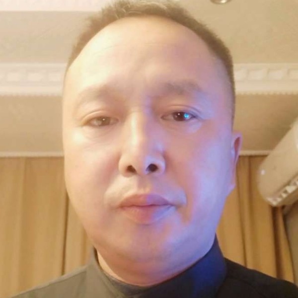 含羞草合适的照片
