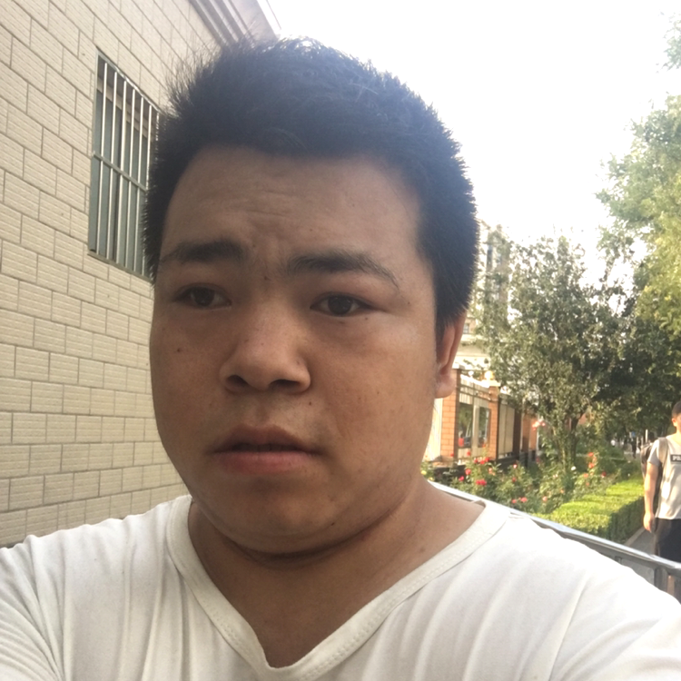 抽屉華麗的照片