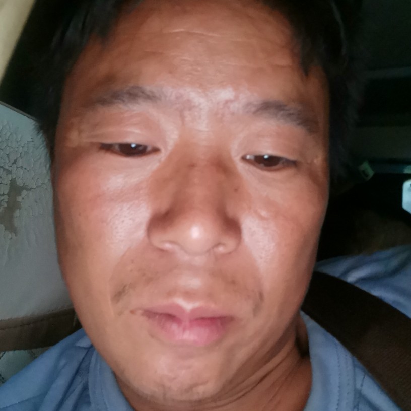 蚂蚁深拥苹果的照片
