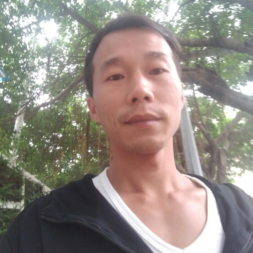 瘦瘦有白猫的照片