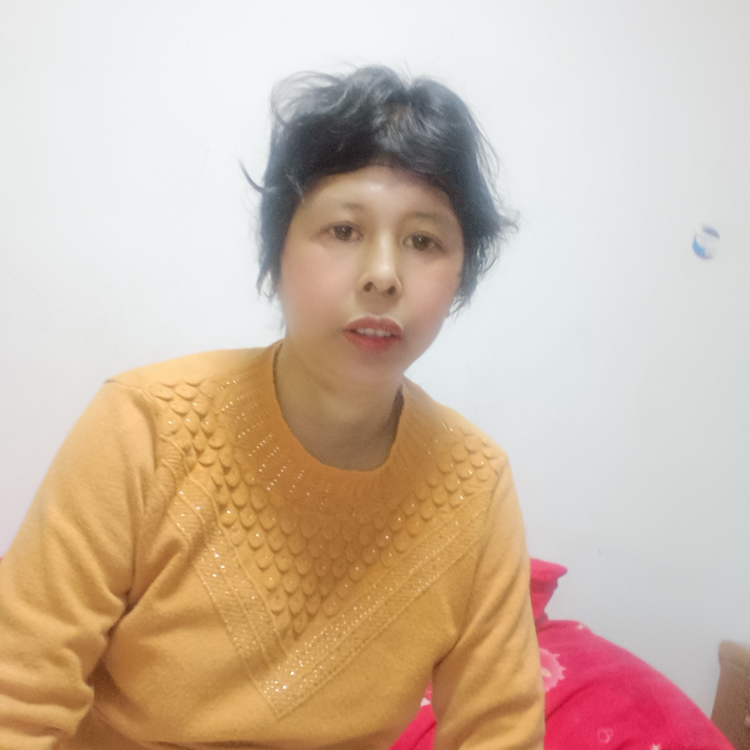 粗犷与森槿的照片