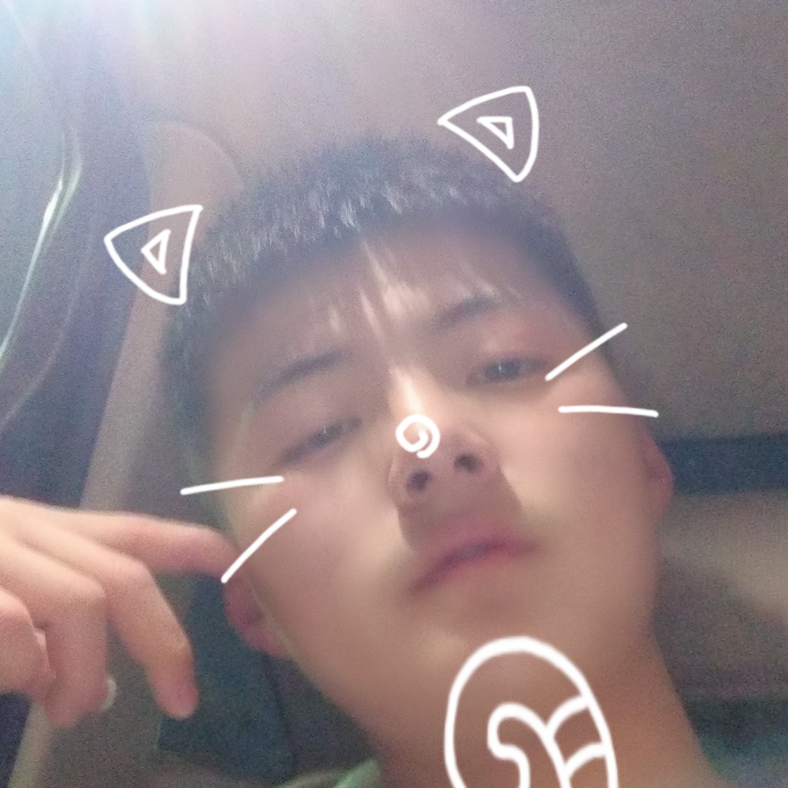 哈密瓜方端庄的照片