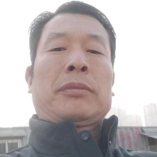 大象的强健的照片