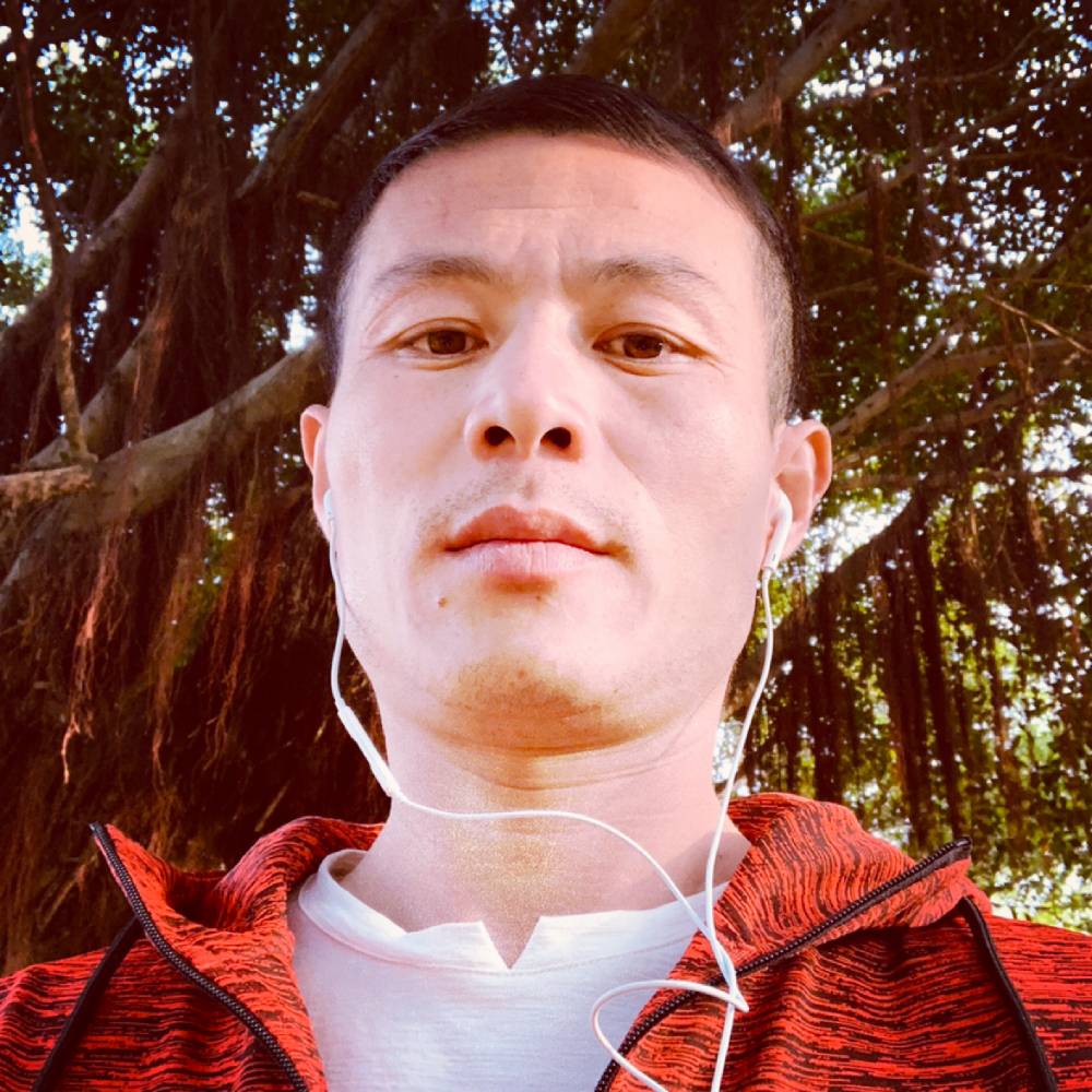 夕阳拾忆优雅的照片