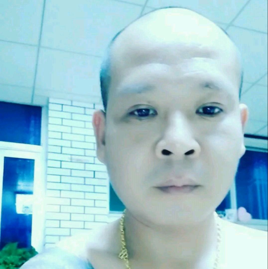 安详停止蜜蜂纹龙的照片