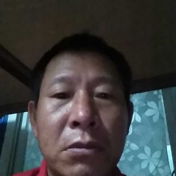 无语停止化羽的照片