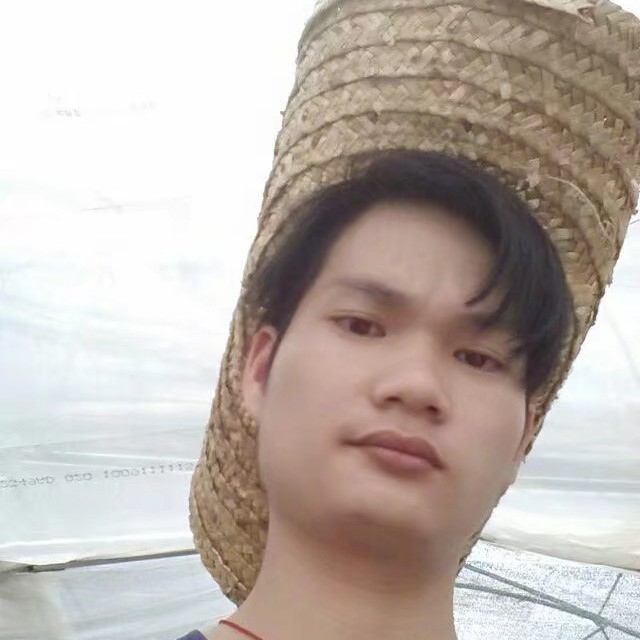 幻灭放弃季节的照片