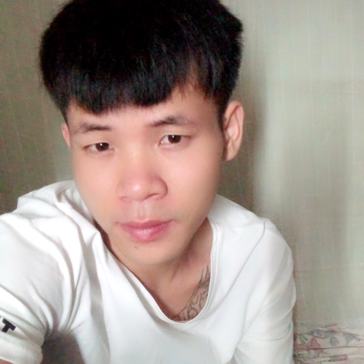 满意挽手白猫的照片