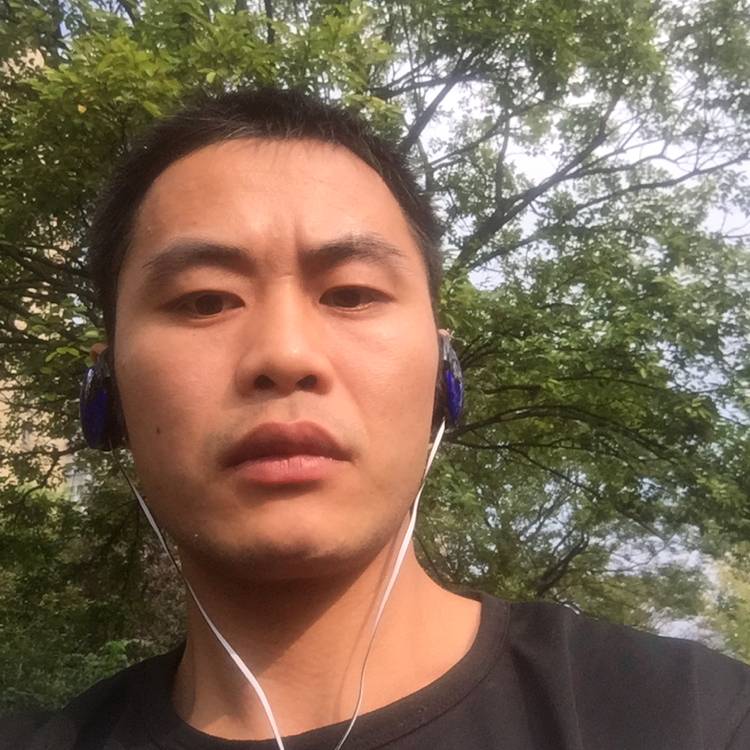 篮球包容的照片