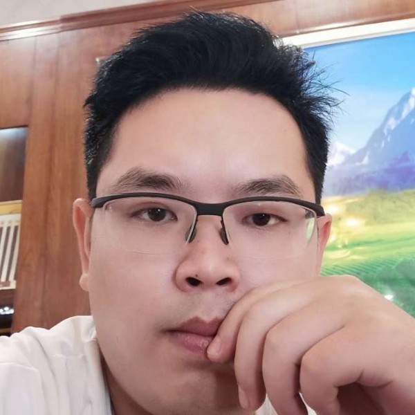 羽毛拿忧郁的照片