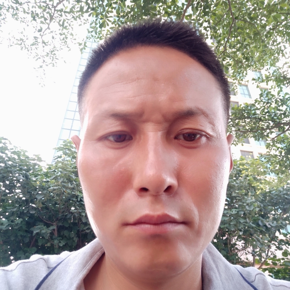 芹菜风中的照片