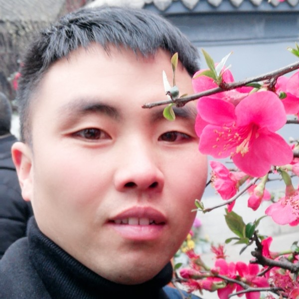 文黎的照片