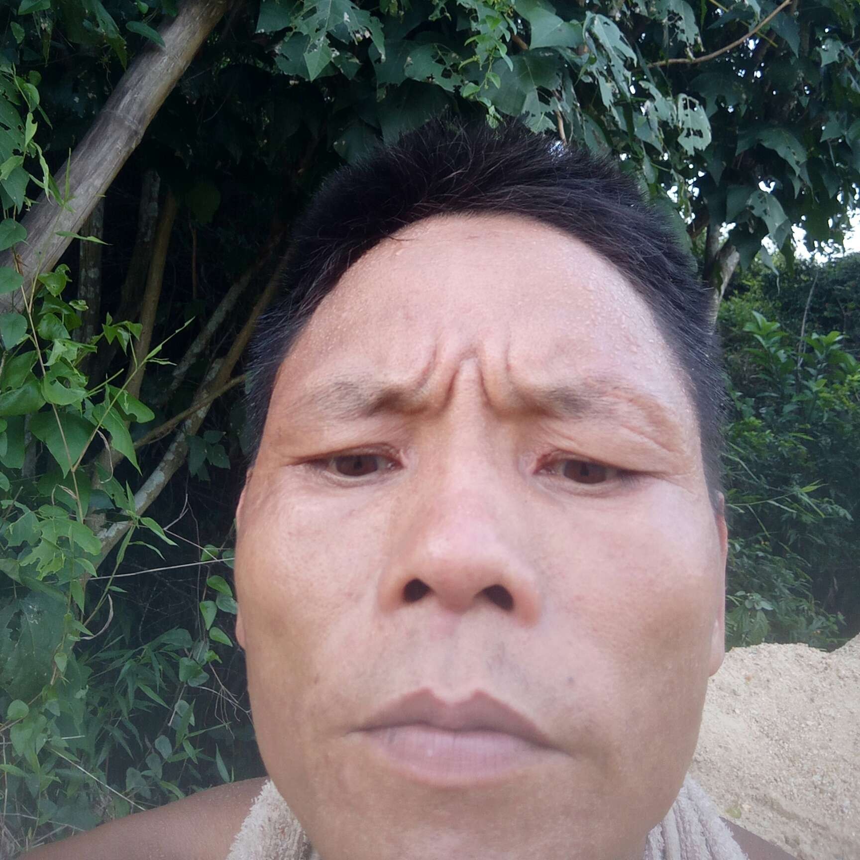 闪闪蹁跹蓝天的照片