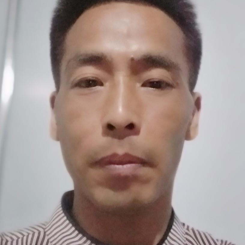 如梦如生的照片