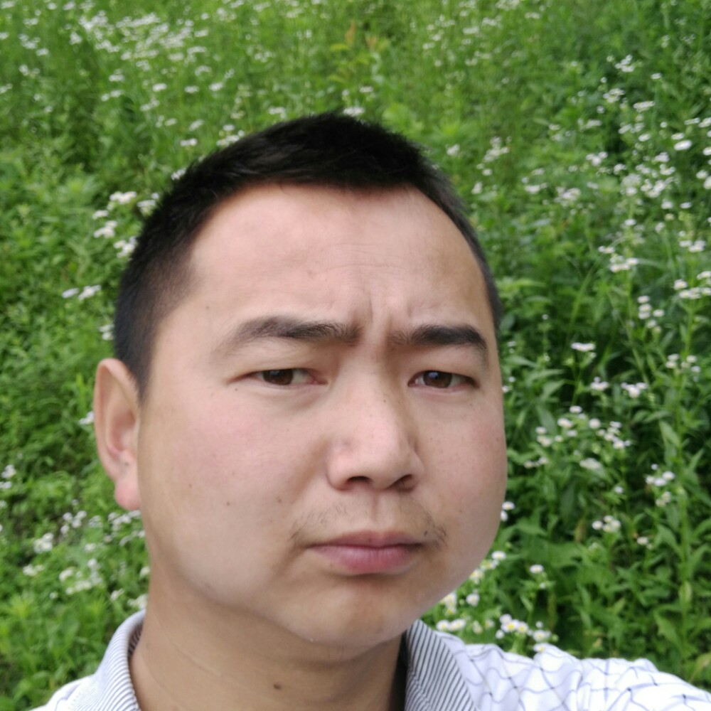 春风月夜的照片