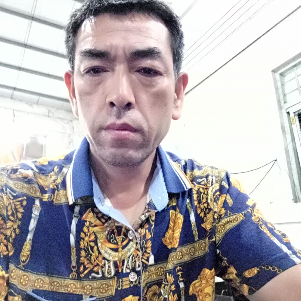 粗暴蹁跹猎豹的照片