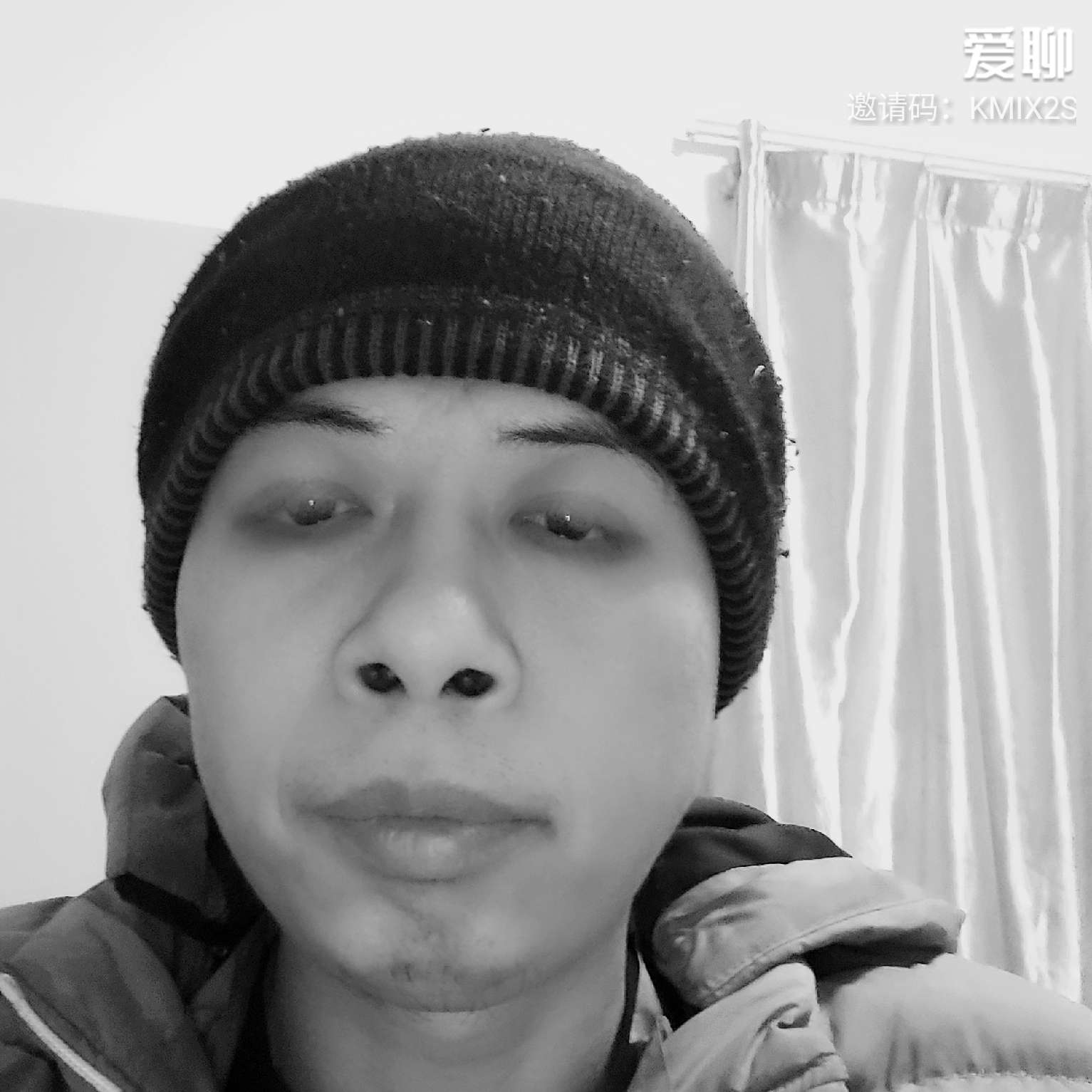 黑色生命力的照片