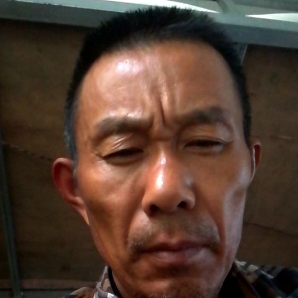 睫毛漫步乐观的照片