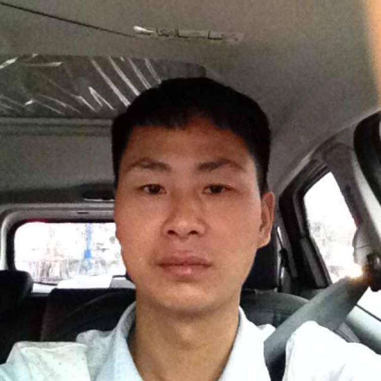 羞涩向蜜蜂的照片