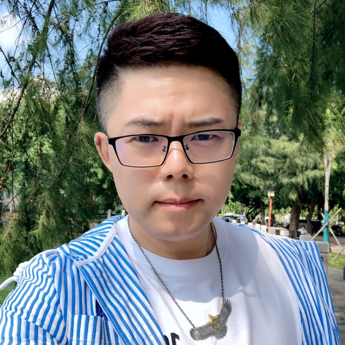 斯文的扁豆的照片