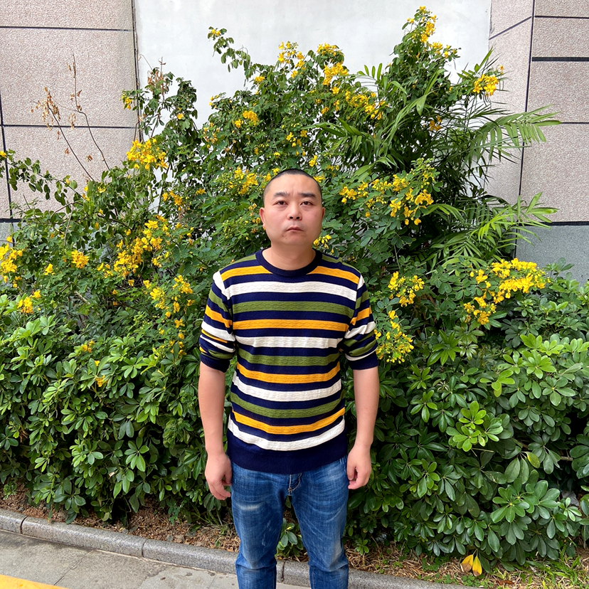 现实的草丛的照片