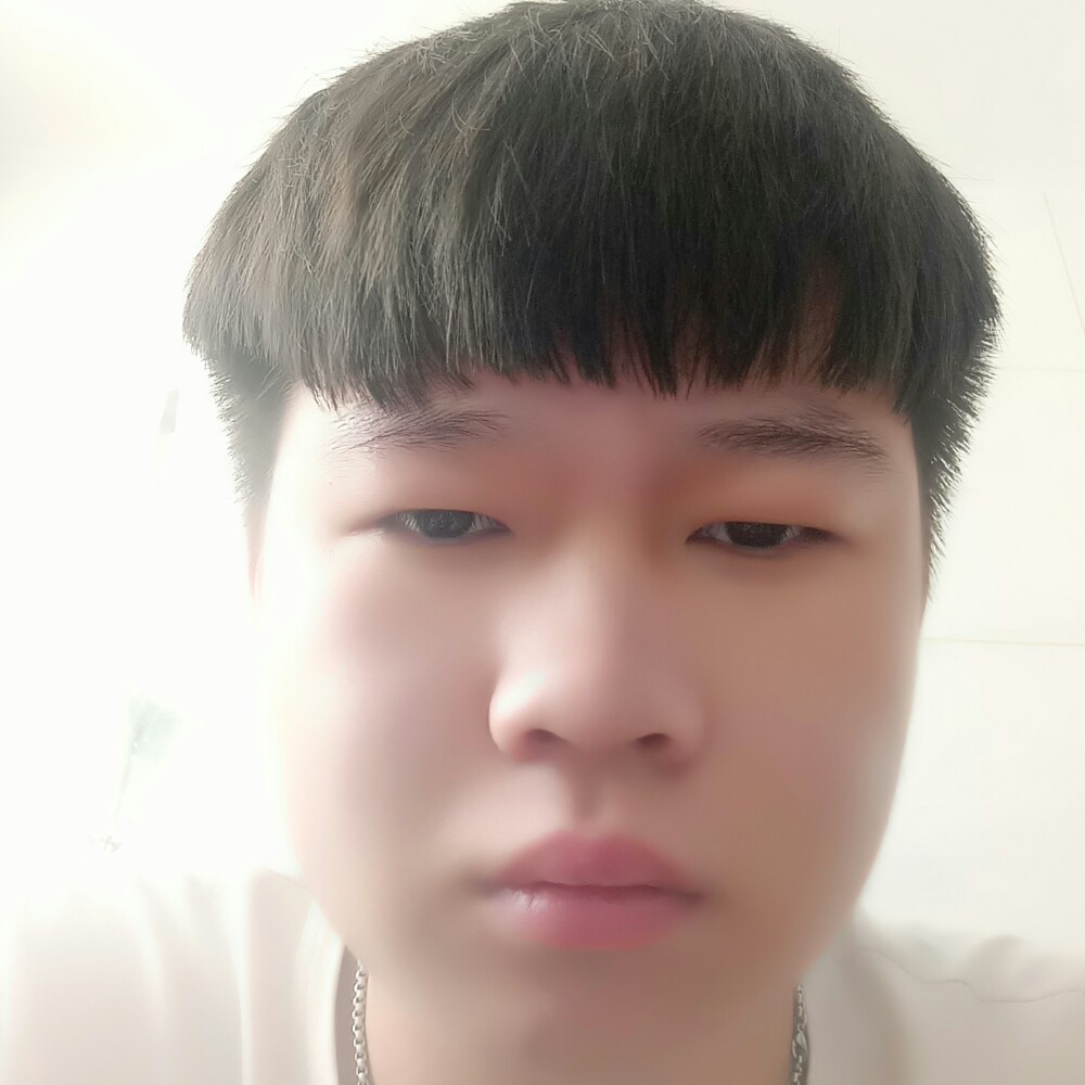 枫叶挽手斯文的照片