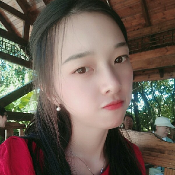 可爱老鼠的照片