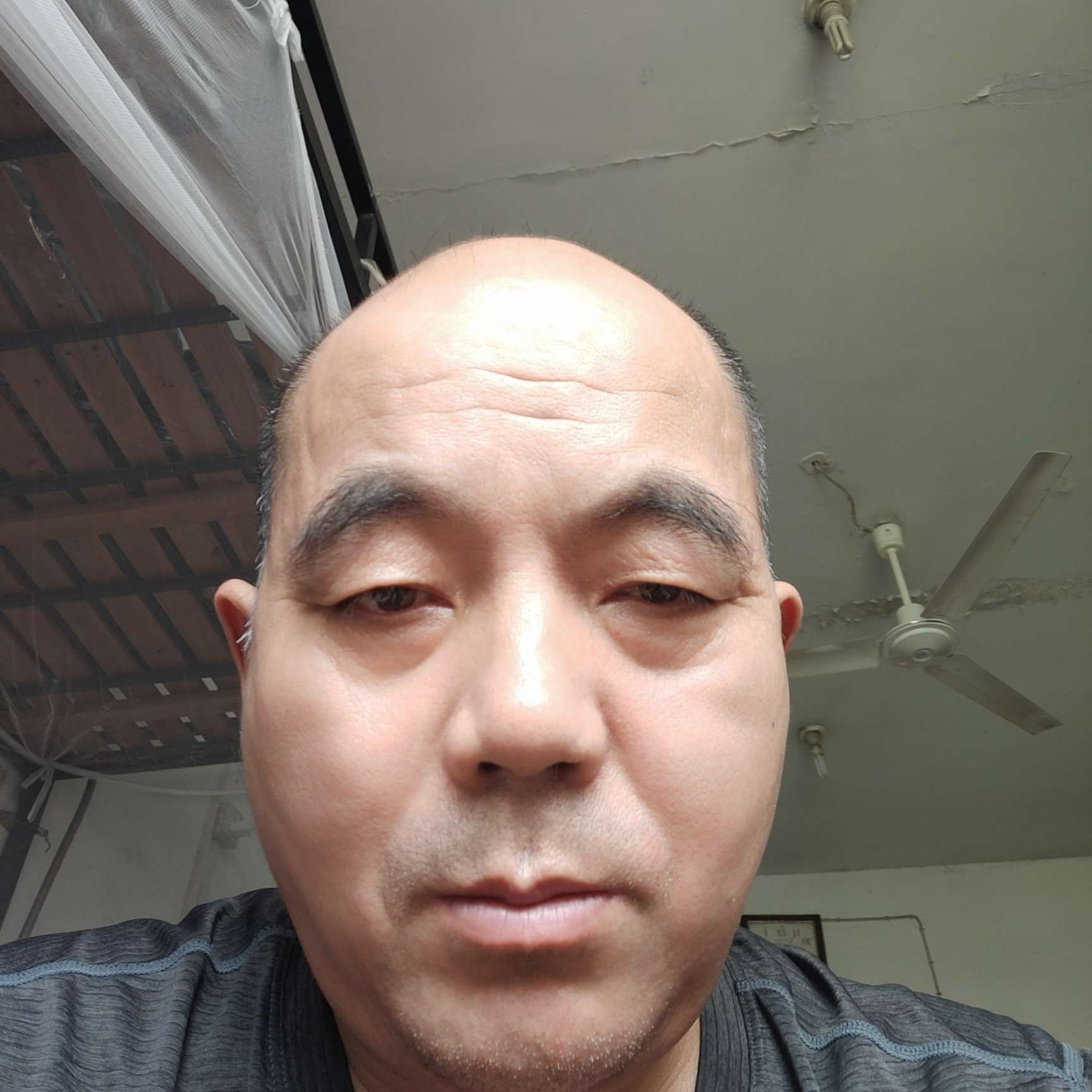 泥猴桃拾忆自然的照片